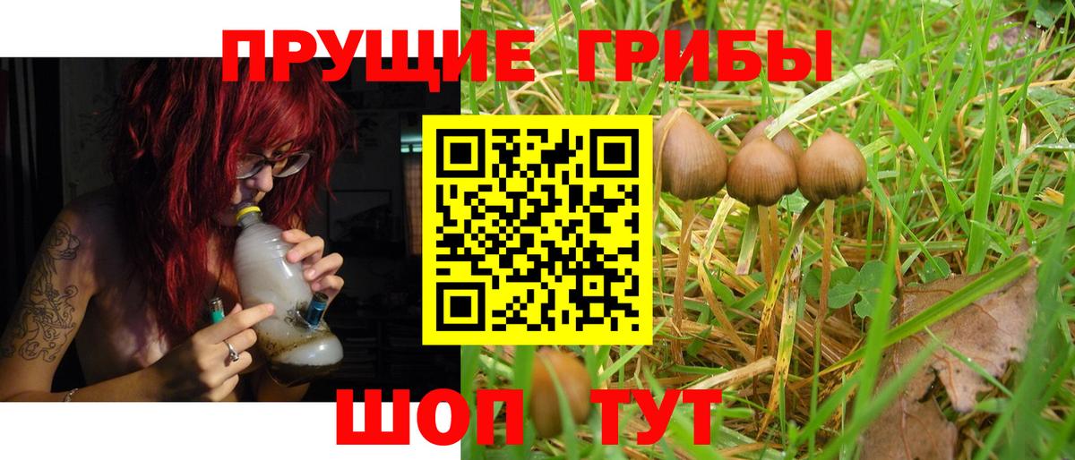 Амурск  Галлюциногенные грибы Magic Shrooms  Вход с VPN 